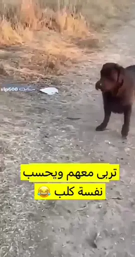 #اكسبلورexplore #f #الصين_ماله_حل #for #مضحكة😂😂😂جداً 