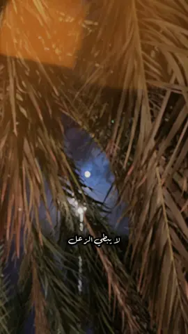 #CapCut #اكسبلورexplore_فولو #👌🏻👌🏻👌🏻👌🏻👍🏻👍🏻❤️❤️❤️❤️❤️ 