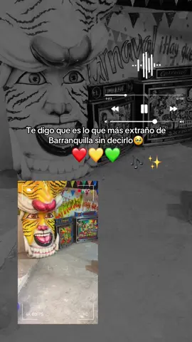 El carnaval de mi tierra, el segundo MÁS importante de Latinoamérica después del carnaval de Brasil🫶🏻🥰 . . #carnavaldebarranquilla #carnavaltiktok #barranquilla #pepo #arrebatao 