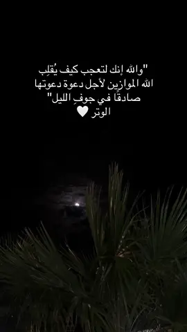 #ذكر #دعاء #قرآن #قران #الثلث_الأخير_من_الليل  #اكسبلورexplore #اكسبلور #الوتر 