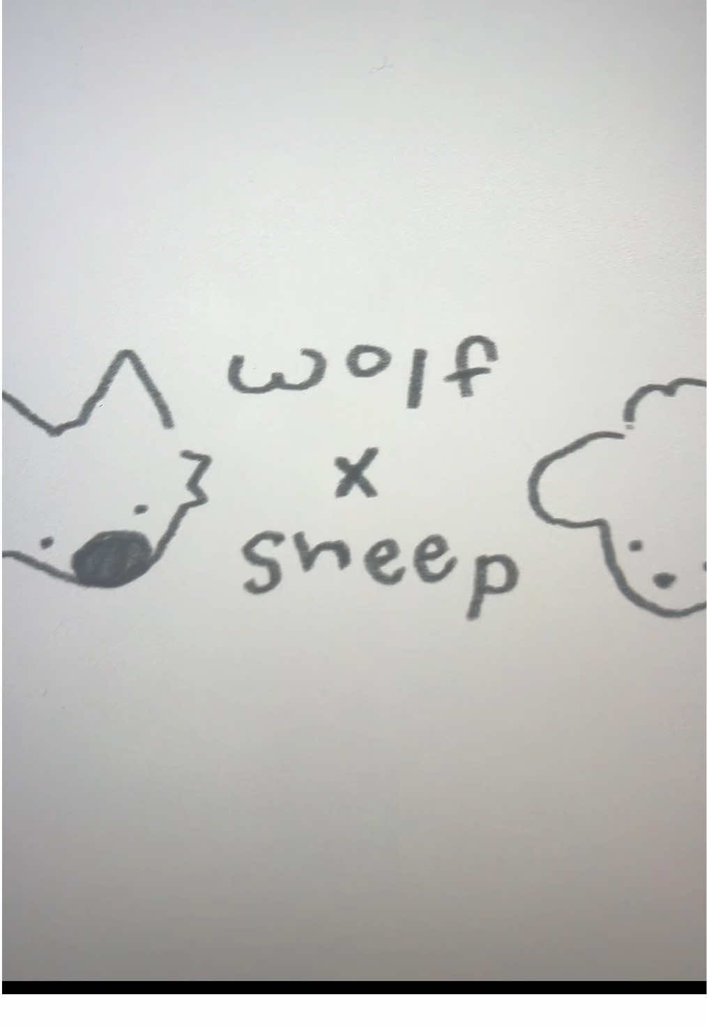 wolf x sheep 🐺🐑 #originalcharacter #oc #wolfinsheepsclothing #characterdesign #artistsoftiktok 