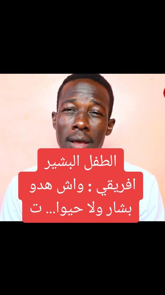 الطفل البشير مستجدات 