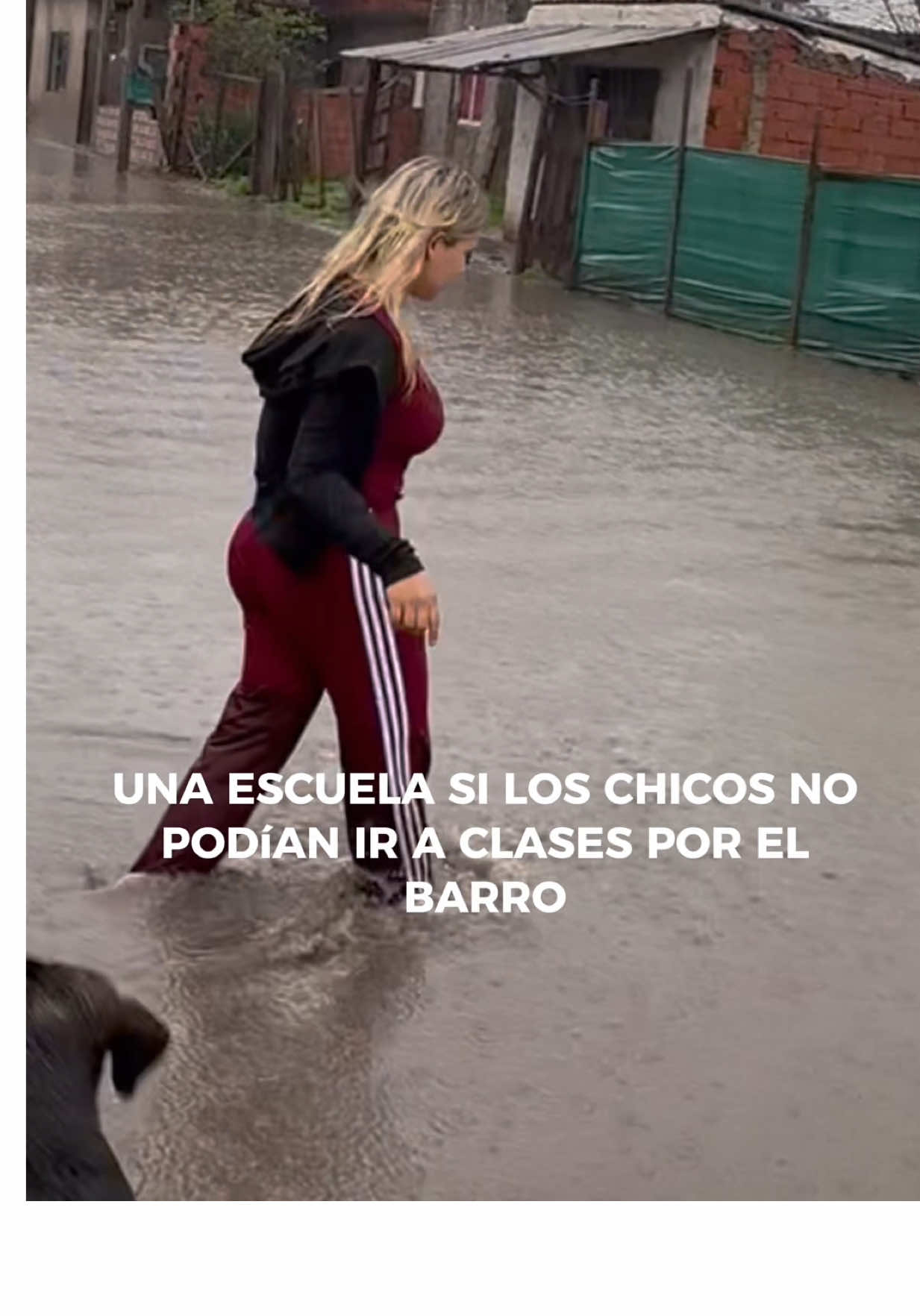 Así está el barrio en el que Mariel Fernández y el gobernador Kicillof hacen campaña. Apenas inaugurada hace algunas semanas, la escuela N85 no puede abrir sus puertas por la inundación. Esto hace la corrupción en Moreno. Cientos de vecinos inundados. Este 7 de septiembre elegí Kirchnerismo o Libertad.