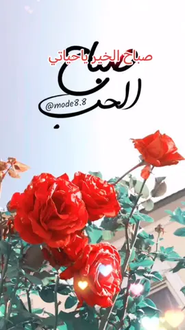 #صباح_الخير #صباحكم_أحلى_صباح #صباحكم_سعادهـ🌸🍃_لاتنتهي🥰🎶🎵💞 