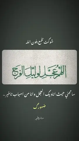 الخجل قبل العجل ..💔😔#سيد_علي🎶 