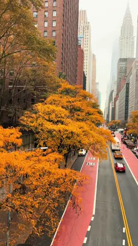 New York 🗽🇺🇸❤️🗽🍁🍂 🫶🏻 #spynyc🗽 
