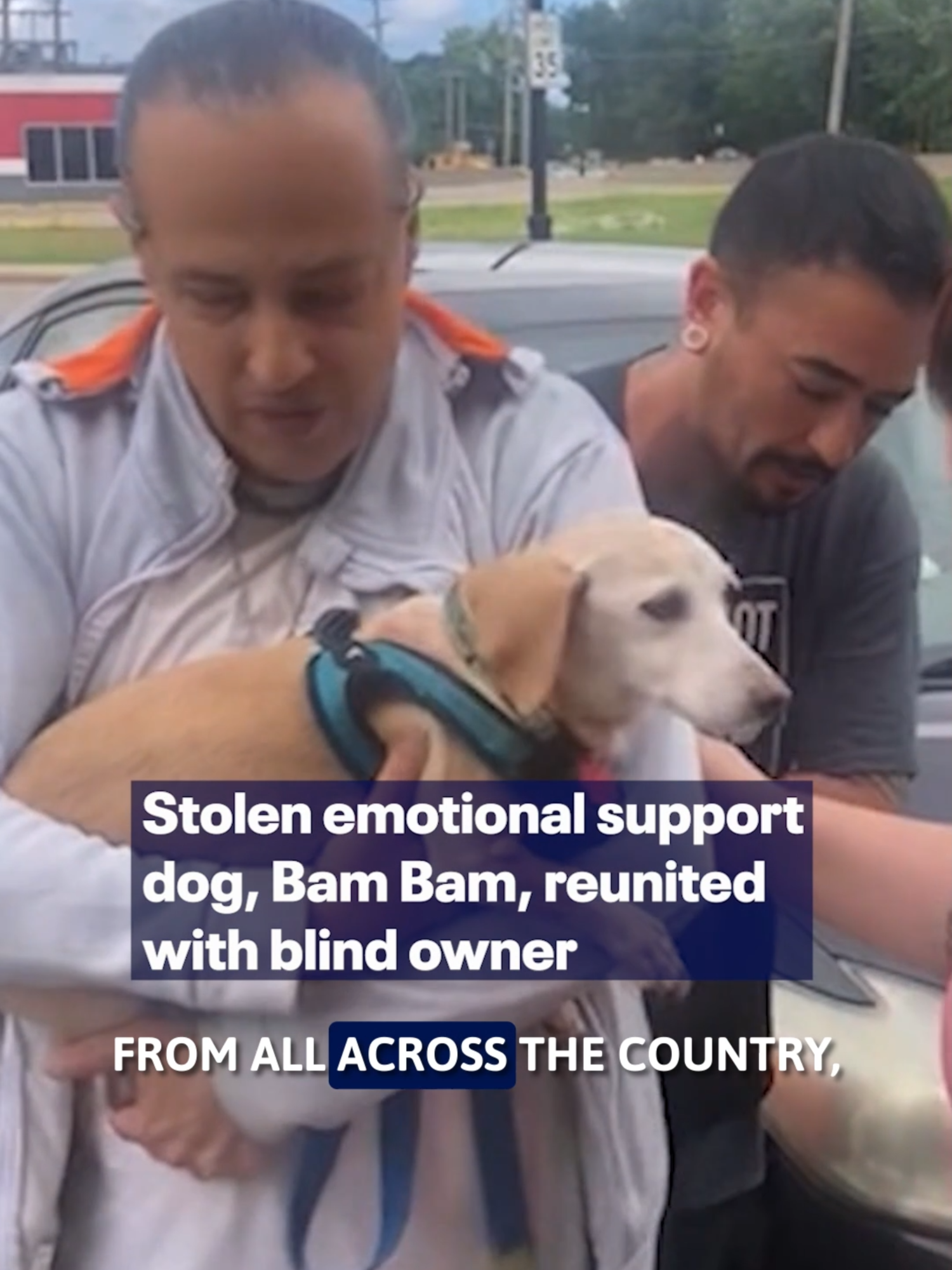 Heartwarming Reunion: Watch as Bam Bam, a stolen service dog, is joyfully reunited with his blind owner after a search lasting over two months.  #Chicago