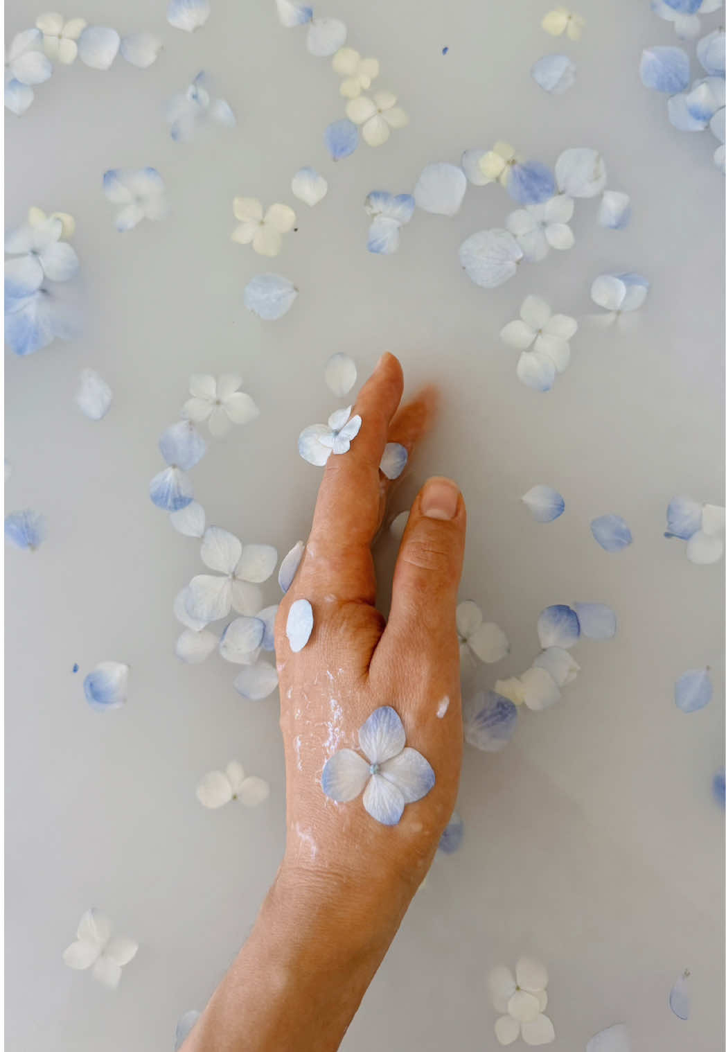New envelopes with blue hydrangeas 🩵 Do you want to see the full process? #flowerpaper #papermaking #papermakingprocess #recyclingpaper #crafttok 