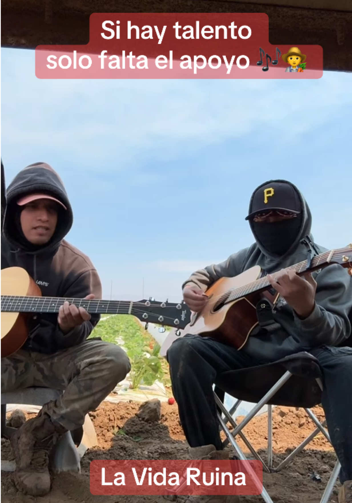 Me gustaria al gun día fuera mi trabajo la cantada 🧑‍🌾🇺🇸🍓🎶 @Chuchi Angel #lavidaruina #campesinos #ElCampesino #sueñoamericano #california 