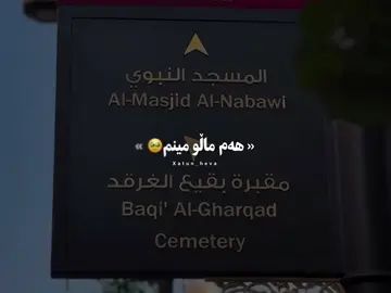ئەی پێغەمبەرەکەم ئەی نووری چاوانم  ئەی بارانی رەحمەت بۆ وەرزی سوتاووم عەوداڵی ڕێتم شەیدای لیقاتم🥹💚#xatun_heva #foryoupage #foryou #fyp #tiktok @TikTok 