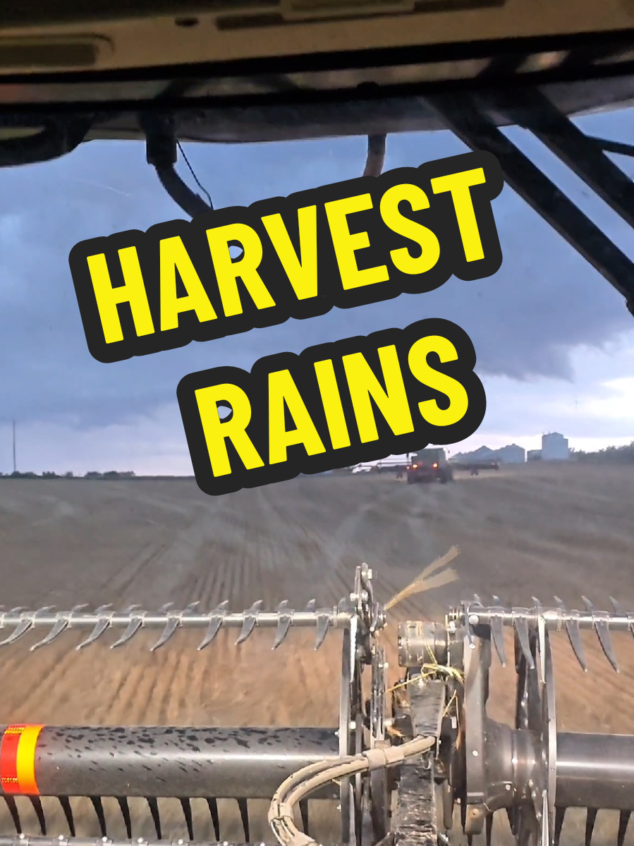 Harvest is going to take forever again on our farm. Another afternoon rain halts Harvest.  #farm #farmlife #harvest #weather #rain 