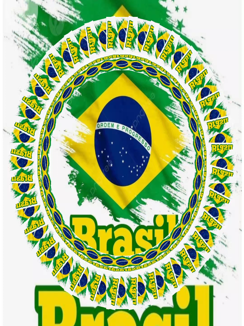 Para frente Brasil.  #nicolasferreira🇧🇷 #bolsonaropresidente #brasil🇧🇷 #brasileirospelomundo @viraltiktok @creator search insights 