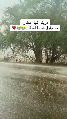 #اكسبلور #fyp #explore #fyp #fyp 