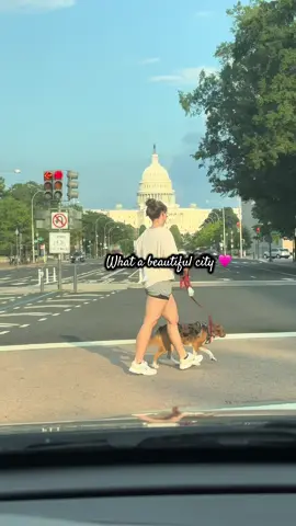 I've always been proud of being a PG Native and being from the DC area. Going off to college made me realize how truly unique the experience is. And while things are changing there's one thing that will always remain.....this IS a beautiful place to live, work, and do life 💕 #dc #fyp #dmv #dmvtiktok #dccreator 