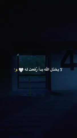 قناة التلي موجوده بالبايو . #أنجيل 