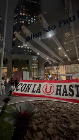 En vivo desde São Paulo #copalibertadores2025 