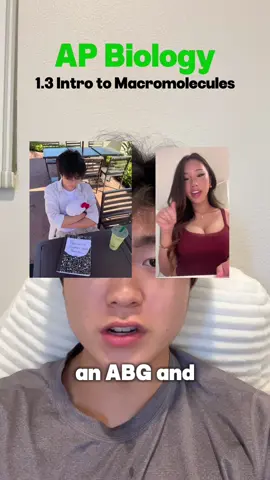 AP bio 1.3