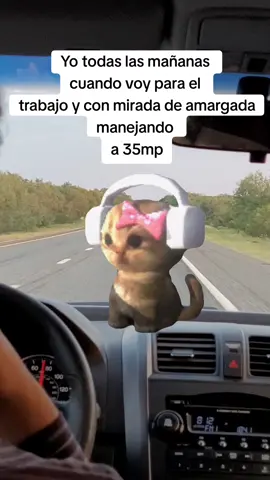 #Meme #MemeCut #CapCut #fyp #viral 