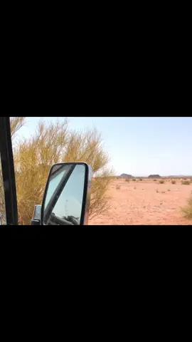 اسكني في وسط قلبي ويسقيك الوريد ❤️😩.