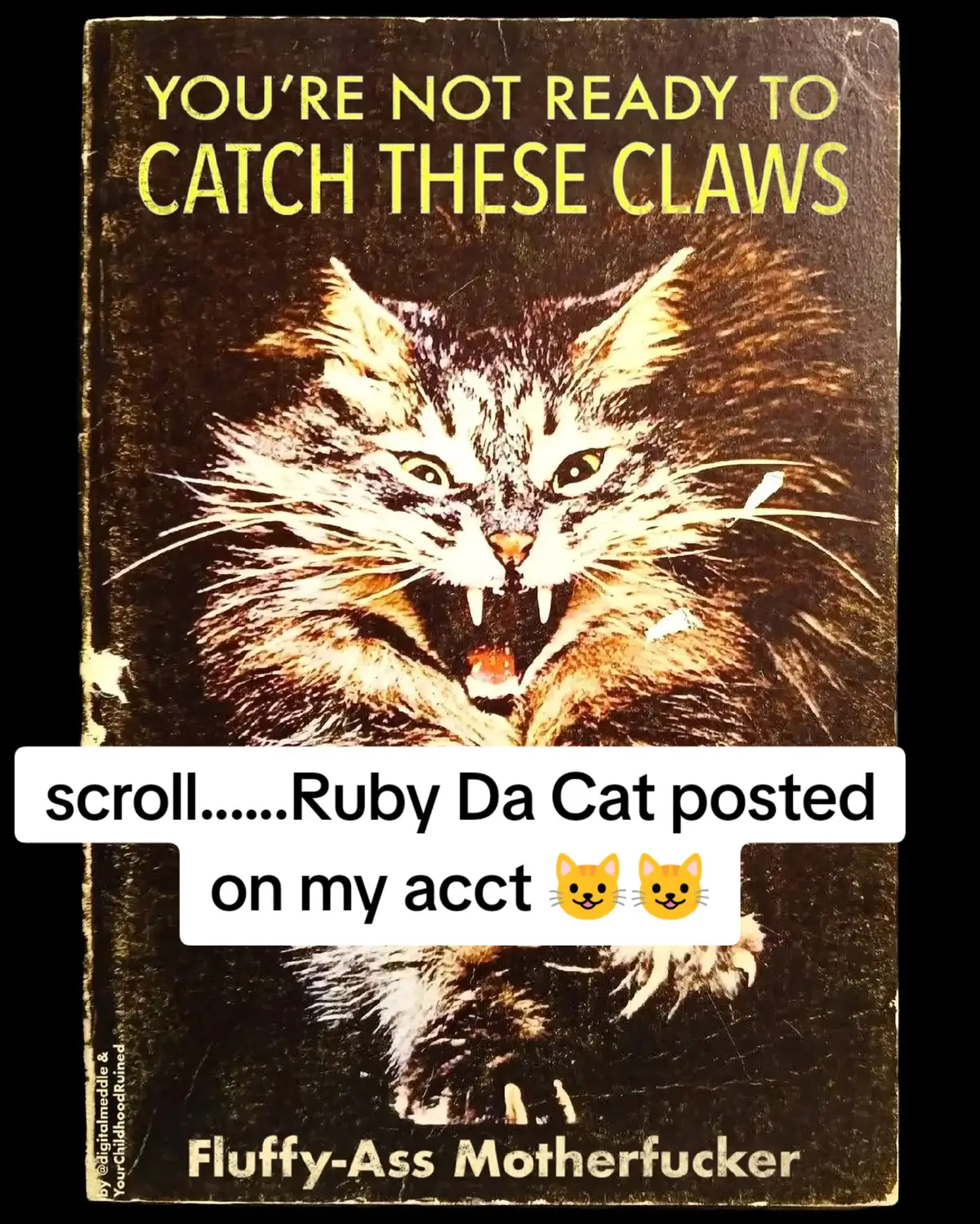#fyp #catsoftiktok #goviral #cat #fyppppppppppppppppppppppp 