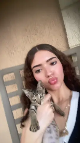 i swear this lil kitty jus popped up at my house idl where it came from it’s so cute 🥹🥹