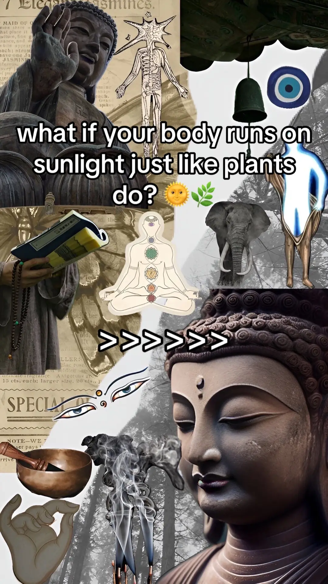 #Spirituality #NewEarth #SolarBeing #Bioenergetics #SunEnergy #Sungazing #SpiritualScience #LightBody #AuricField #QuantumHealth #HolisticLiving #SunMedicine #Consciousness #LifeForceEnergy #EnergyAlchemy #melanin 