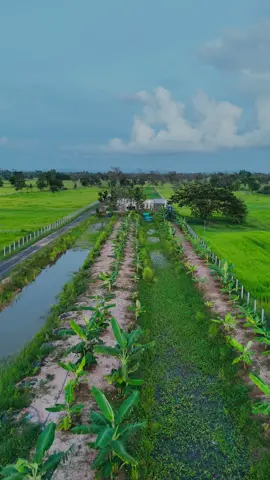 #บ้านสวนกลางทุ่งนา🏡🌾 