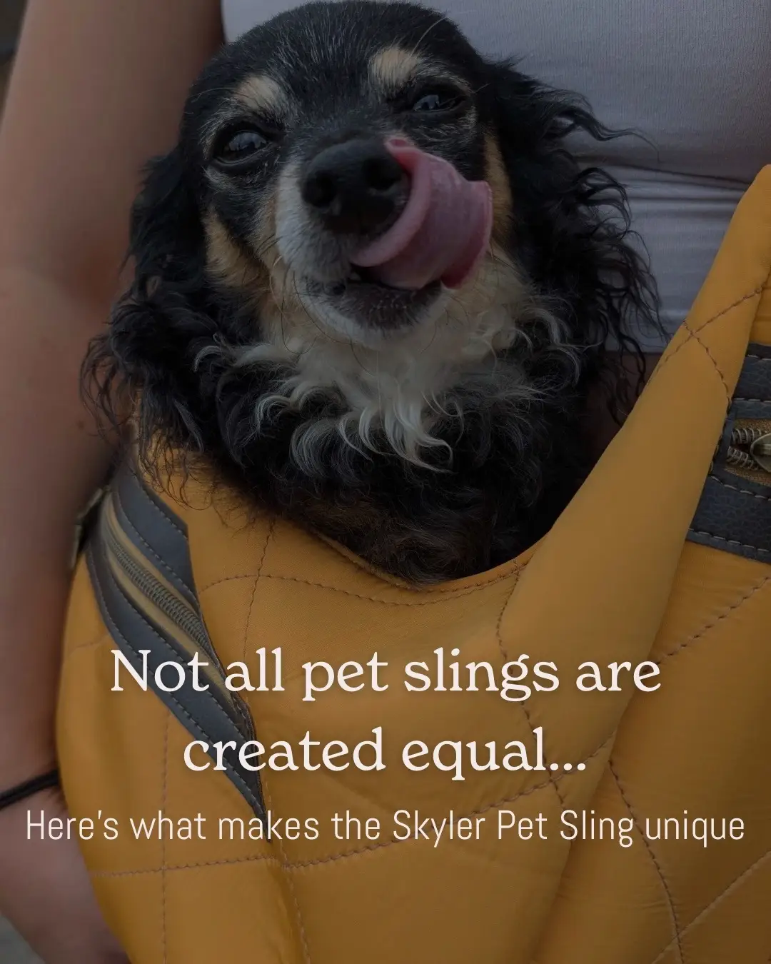 The Skyler Pet Sling to be jam-packed with thoughtful features to keep BOTH you and your pup comfortable. 🙌🏻 From adjustable straps and secure closures this was designed with the needs of REAL pet parents in mind and was created for all-day wear.  Whether you’re running errands, traveling or just sneaking in some extra snuggles, this sling makes every outing easier (and cuter)🐾.  🚨 Don’t forget - ALL sewing patterns are 20% OFF with code SEWSKYLER. Offer ends tomorrow, so now’s your time to grab your next project! Swipe through to see all the details that make this sling a game changer. 🤩 #skylerpetsling #petsling #dogcarrier #sewingpatterns #sewingfordogs 