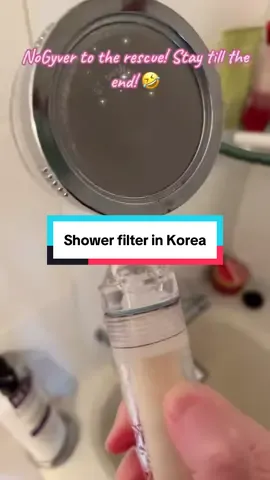 An oldie but a goodie from a few years ago. We often use shower filters because the water in Korea has lots of minerals in it and dries our skin and hair out. #showerfilter #waterfilter #americaninkorea #foreignerinkorea #lifeinkorea 
