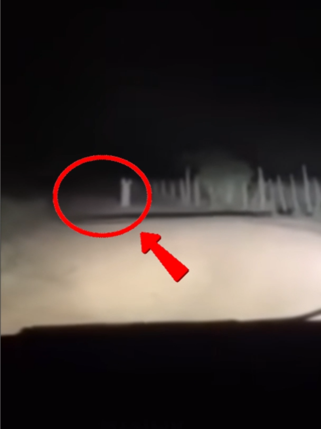 LA LLORONA EN LA CARRETERA?#miedo #miedoyterror #fantasmasreales #fantasmas #terrorparanormal #terrorsobrenatural #Lacajadeterror