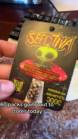 We really outdid ourselves with these 40 seed packs plenty of seeds to start a large garden #Gardening #SeedStarting