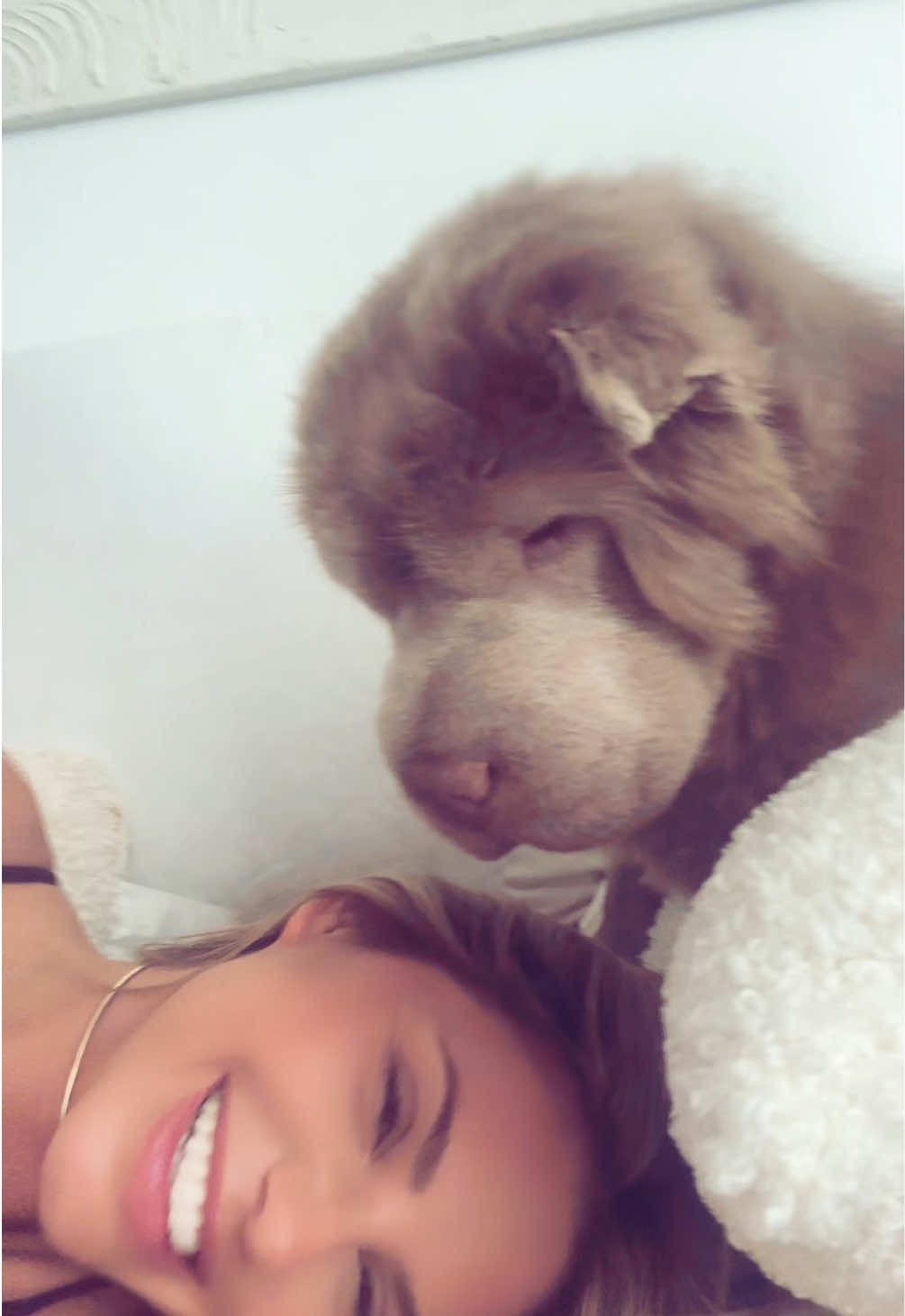 this is my dog toki 🦛🤍