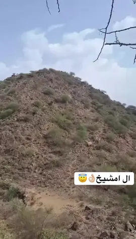 #خولان_بن_عامر_ال_امشيخ📍#4upageonlyplease#الشعب_الصيني_ماله_حل😂😂 