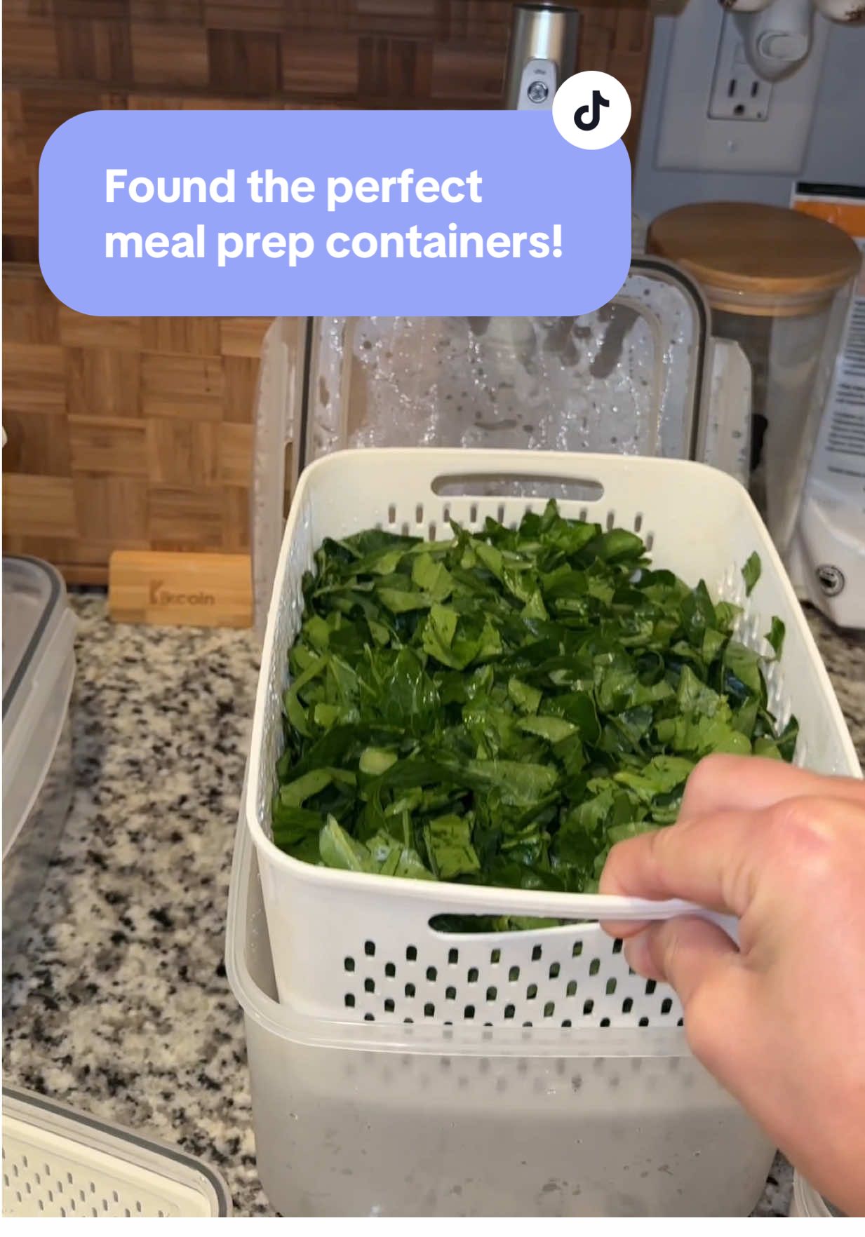 Replying to @Rottie Mama makes meal prep so easy! #mealprepcontainers #foodcontainers #foodprep #mealprep #containerset @MIESOO 