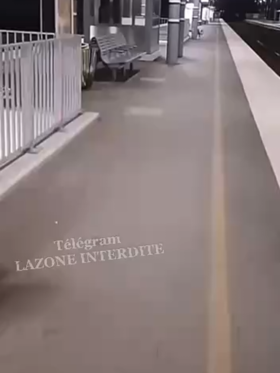 Tout le monde est paniqué 😬🤣🤣🤣 #pourtoi #savignyletemple #gare #sncf 