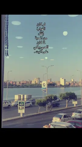 #fyppppppppppppppppppppppp #fyp #دمياط_الجديدة #fyppppppppppppppppppppppp #fypシ 