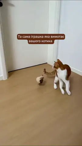 Любиш свого котика? 😺 Іграшка Пташка по Акції Вимотає всю енергію з котика вдень, щоб ви спокійно спали вночі! 🔥 Замовляй на сайті 🔥