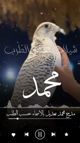 وين قالوا العز ويش اسمه قلنا محمد  شيله باسم محمد جديد  امحمد اليا حضر صاب الخصوم  شيله باسم محمد جديد  سلامي على سلطان والي فيه احتزم  شيله باسم سلطان جديد  حبيب القلب ناصر حبيب الروح ناصر  الدنيا كلها ناصر شيله باسم ناصر  مرحبا يا نايف المطنوخ  شيله باسم نايف جديد  #استديو_احلام_الطرب  #اكسبلوررررررررررررررررر  #الشعب_الصيني_ماله_حل😂😂 