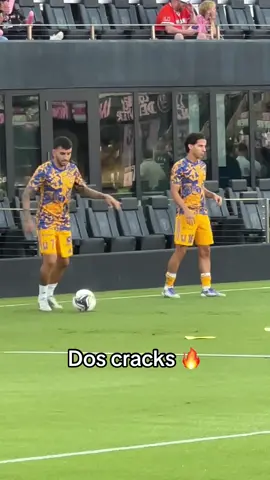 #angelcorrea #diegolainez #tigres #intermiami #mexico 