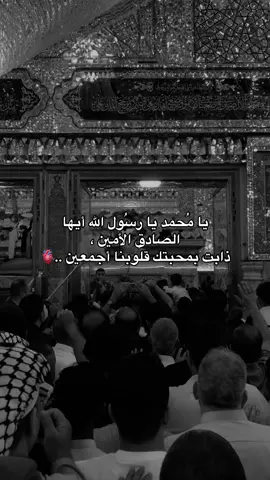 ٢٨ صفر ذكرى استشهاد الصادق الامين الرسول الاعظم محمد صل الله علية واله وسلم 💔 #اللهم_صل_على_محمد_وآل_محمد #اكسبلورexplore #كربلاء_المقدسة #الحسين_عليه_السلام #العباس_عليه_السلام 