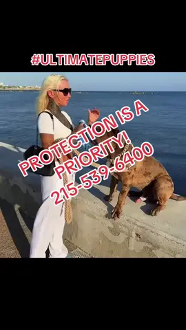 Let nothing stand in the way of your priorities! Puppies ready! Reserve your puppy today! 215-539-6400 #ultimatepuppies #dogo #kangal #canecorso #centralasianshepherd                                       