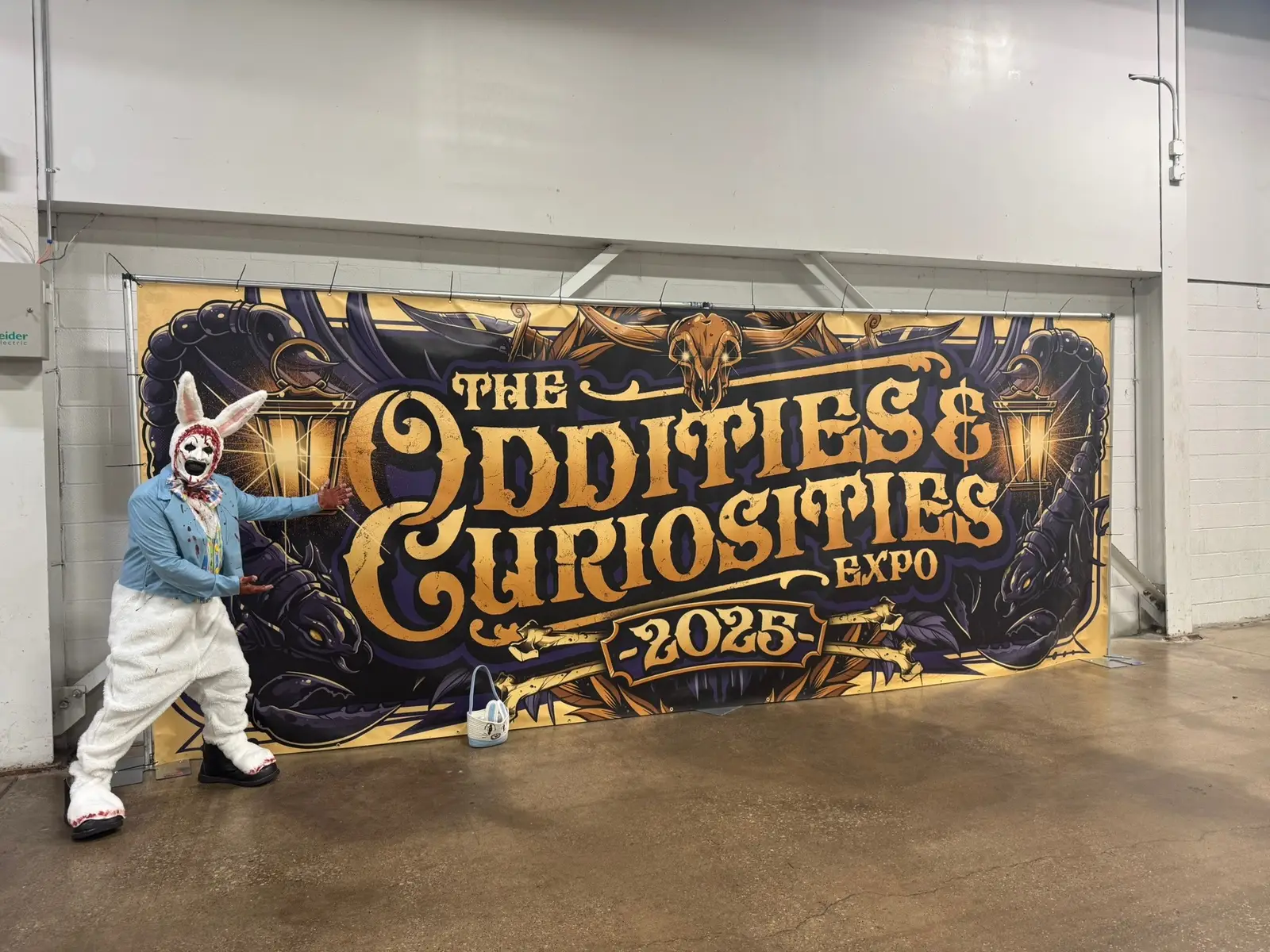 Fun times at the #odditiesandcuriositiesexpo2025 ! Meet a cool #skunk who appeared a bit confused with my appearance. #terrifier #clown #easterbunny