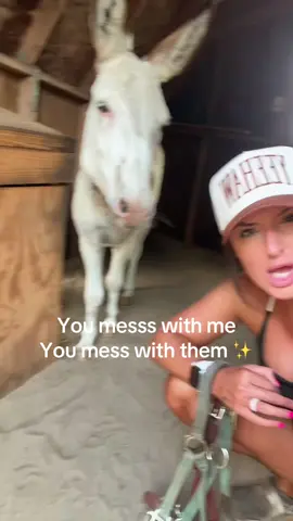 Bo and Carlos say be nice to my mama 