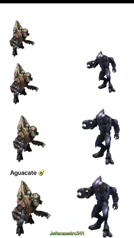Aguacate pozole #halomemes#aguacate#pozole#elite#grunt