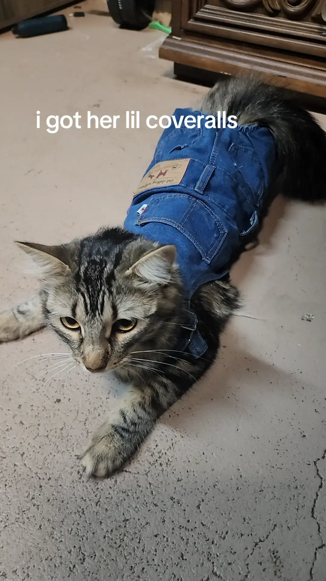 I saw em and had to get her a pair. its too cute #cat #coverall 