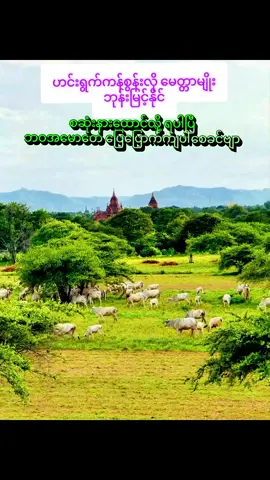 #အားပေးမဲ့သူမရှိကြဘူးလား😞 #ပုဂံမြေ #ဒီတပုဒ်တော့fypပေါ်ရေက်ချင်တယ် #fyp #မြန်မာသံစဥ်များကိုချစ်မြတ်နိုးသူ 