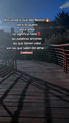 sueños que son amor...🎶 son sueños que son dolor...🎶 yo necesito saber 🎶 si quieres ser mi amante ‼️🎶 #nestorenbloque #lapazbolivia #amante #desamor💔 #villerasdelrecuerdo👌🎶🎵 