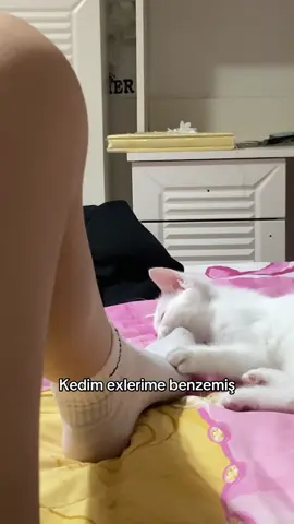 Acı gerçekler  #kesfett #fyp 