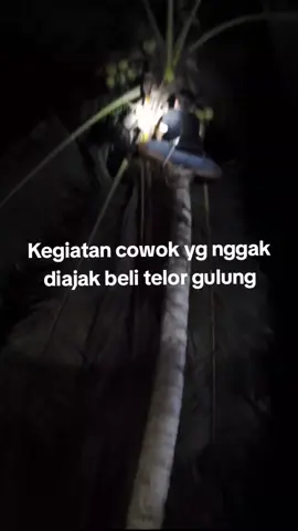 gak diajak? gas ke kelapa😆 #telurgulung #xyzbca #4u #fyp 