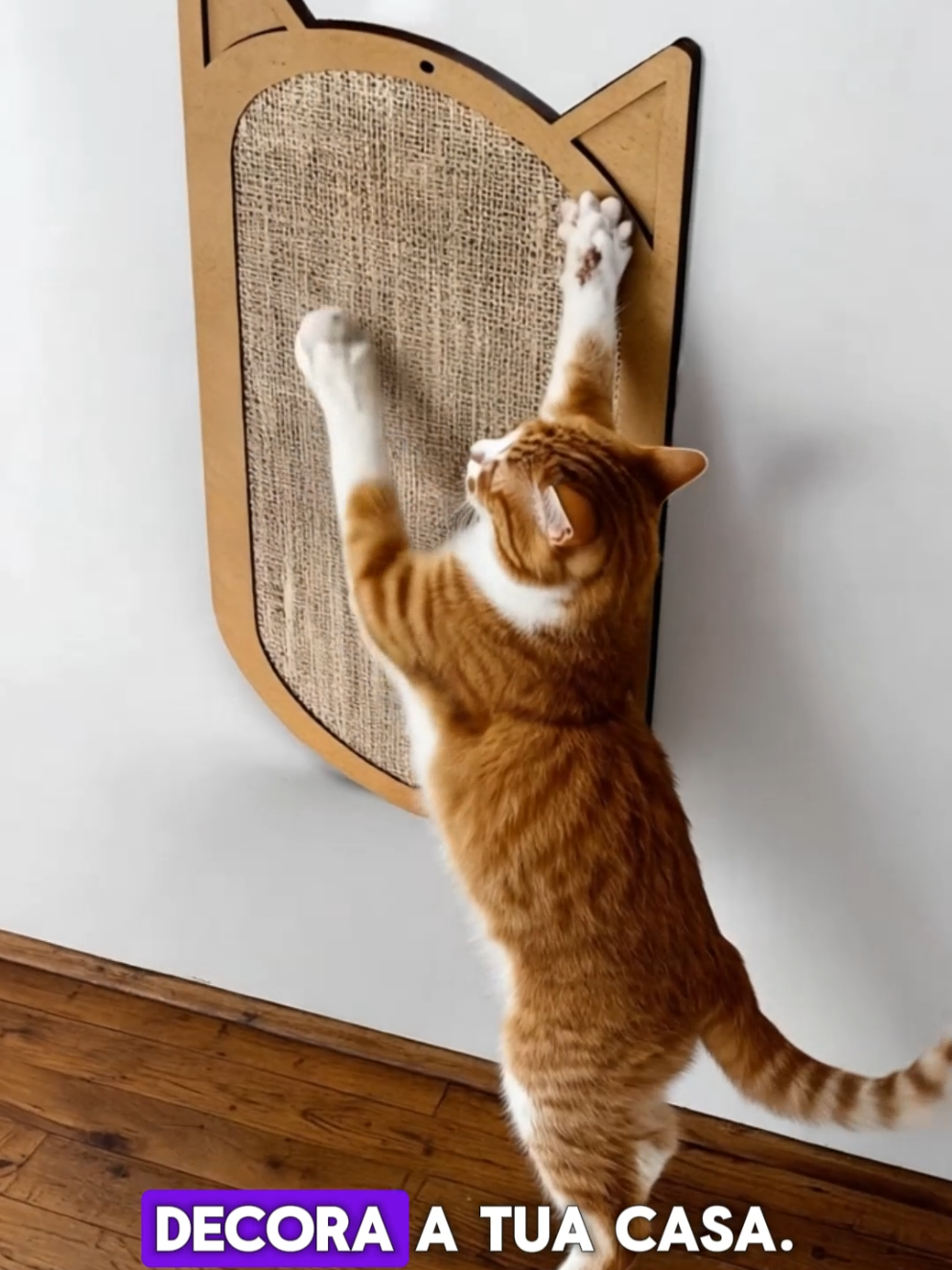 Arranhador de Parede para Gatos em Sisal 50x20cm | Grande, Resistente e Divertido - Ricapet #arranhadorparagatosisal #brinquedopetresistente #arranhadordeparedegrande #acessóriosparagatos #arranhador arranhador